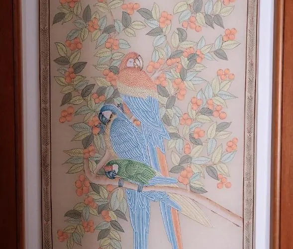 Miro Bed & Breakfast Acquaviva delle Fonti