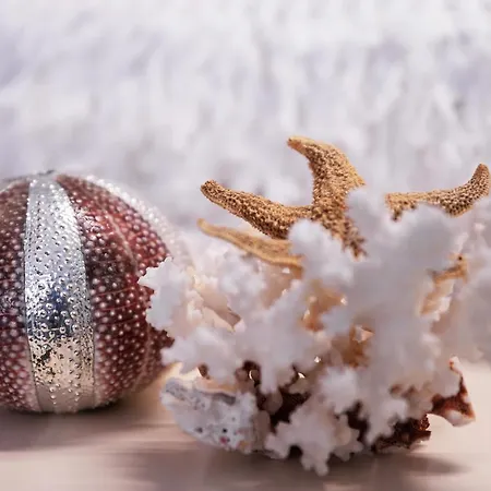 Miro לינה וארוחת בוקר